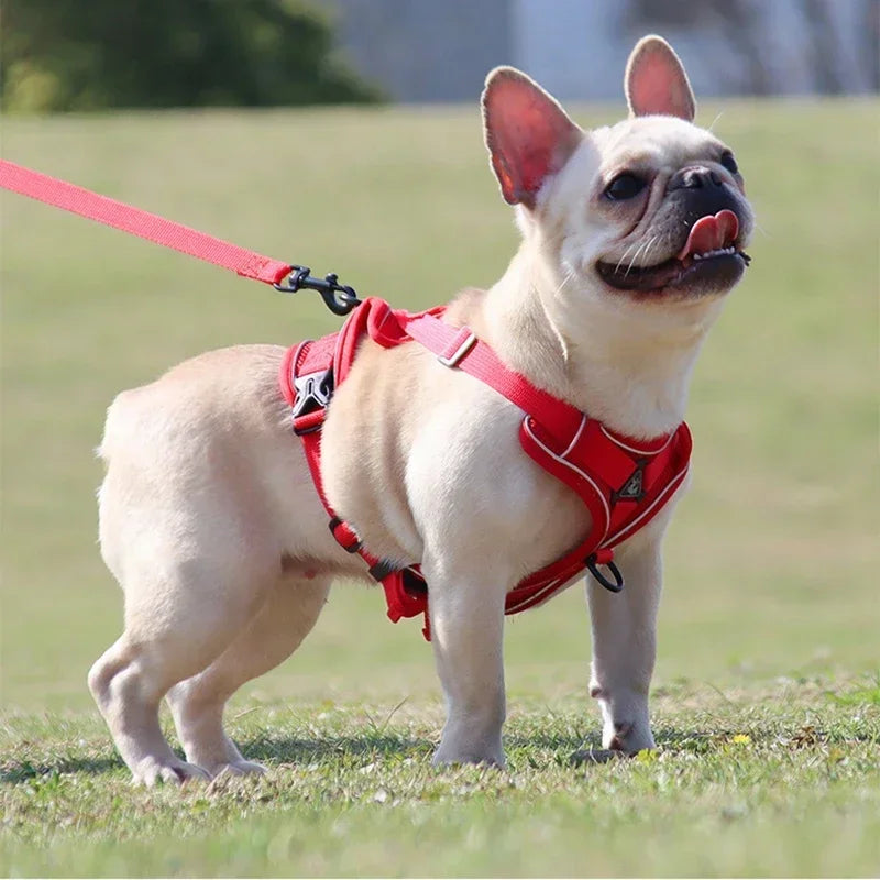 No-Pull Reflective Dog Harness & Leash Set